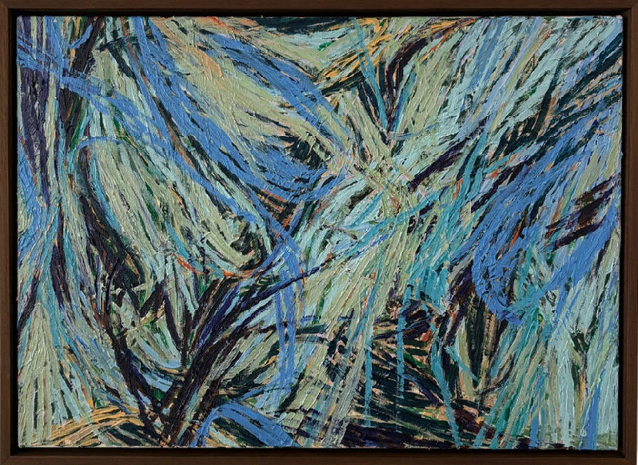 24-Where Shadows Take Root