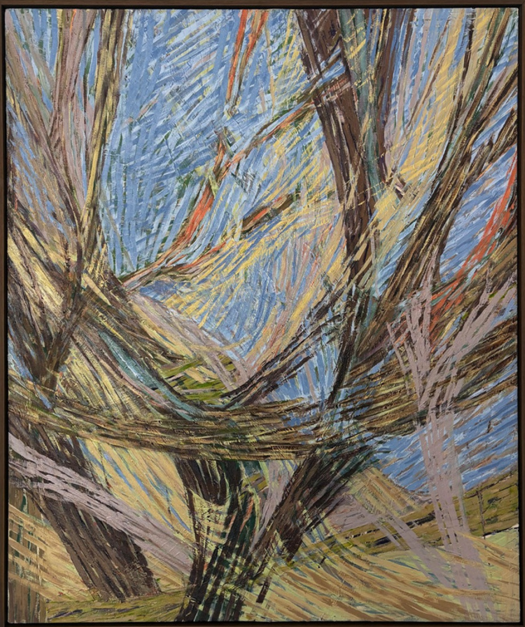 23-Where Light Takes Root